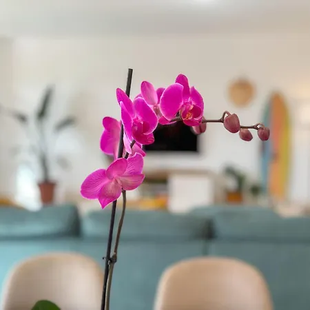 וילה Tarabilla With Private Pool & Ocean Views